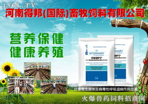 八重豪禮，巔峰鉅獻 河南得邦國際與火爆網攜手，共譜畜牧飼料行業新篇章