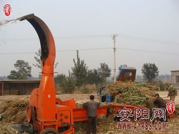 搶抓農時促轉化，市畜牧局多措并舉推廣秸稈青貯飼料助力畜牧漁業降本增效